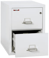 1 Hour Fire Resistant File Cabinet - 2 Drawer Legal 31" depth | Position 2